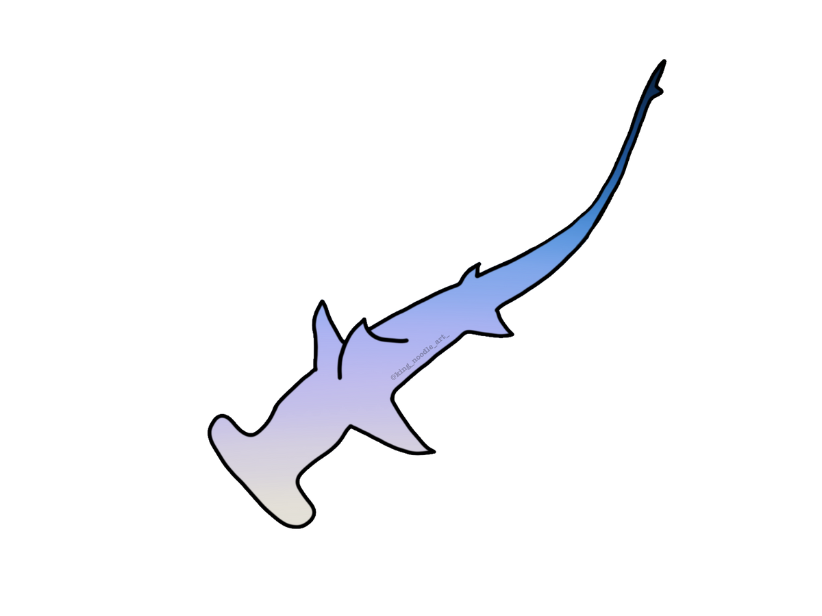 Summer Shark